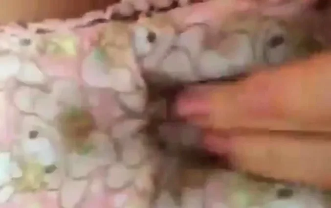 Japanese cute girl masturbation 05