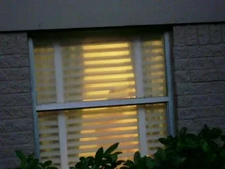 C blinds open again