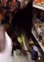 Buongiorno amici