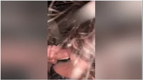 She Sucked My Friend, So Her Friend Sucked Me