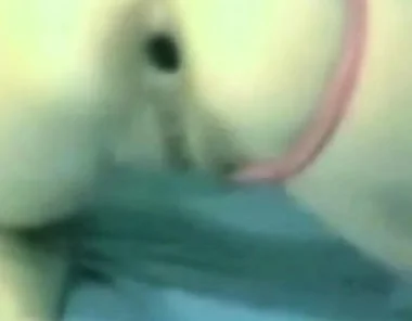 anal gape gaping asshole anal webcam