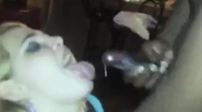 cum compilation