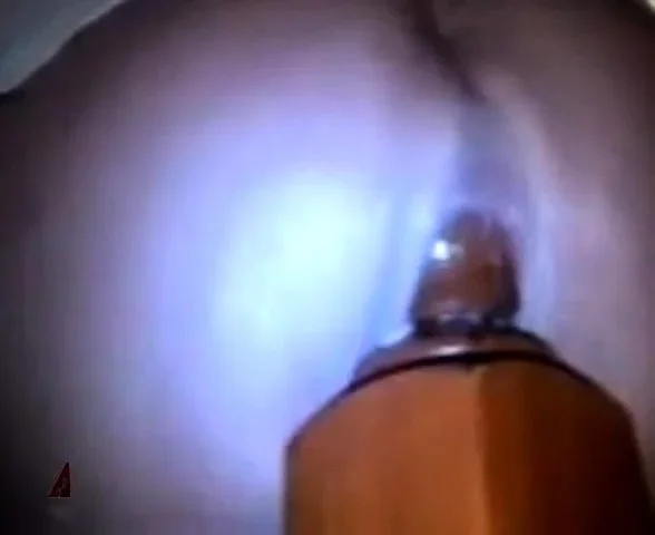 Anal Fun