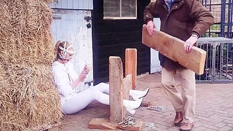 Trained Pony