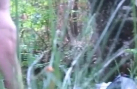 What could be better than sex in the forest
