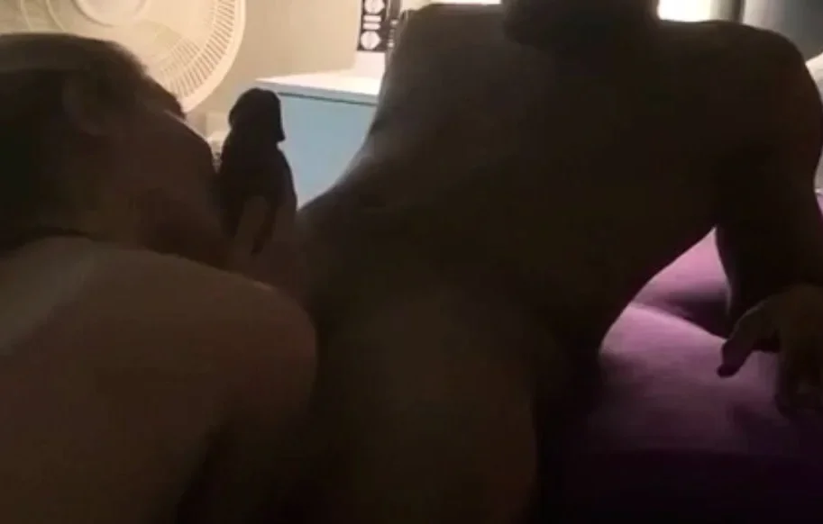 amateur blowjob cumshot finish in her mouth