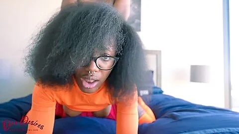 Wrong House Velma Hd Copy