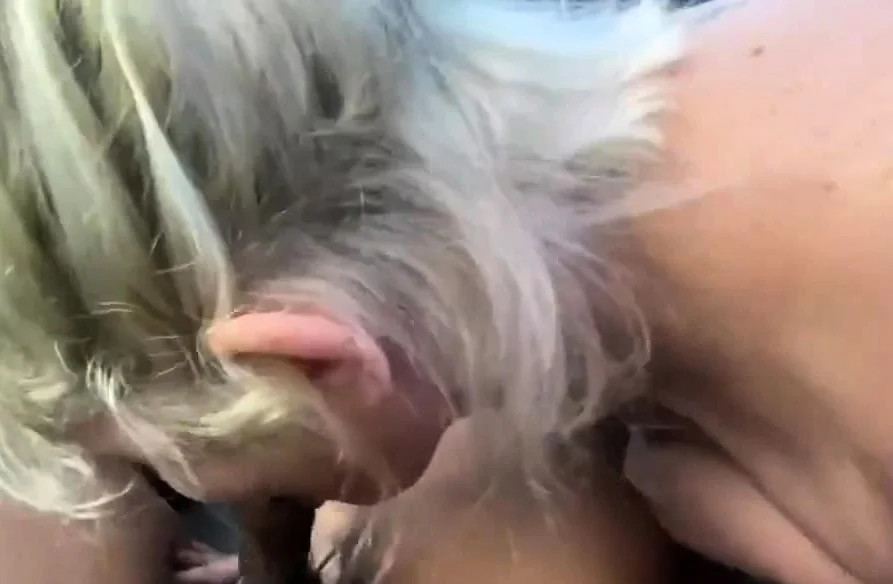 Blonde White girl facial after she deep throat my BBC in car