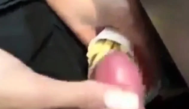 cum Pommes