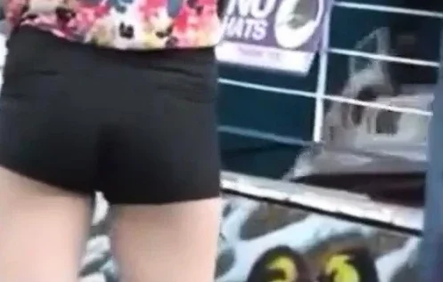 THE BEST Camel toes, Shorts and Spandex