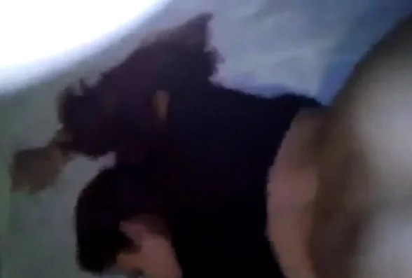 CUZINHO LISINHO DA SAFADINHA