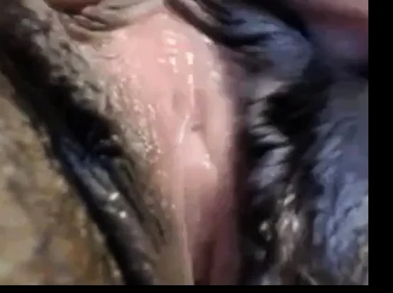 Ms SJ playing with her wet pussy