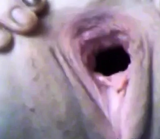 Amazing webcam pussy fist