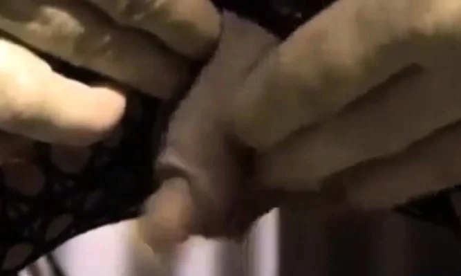 enormous erect clit
