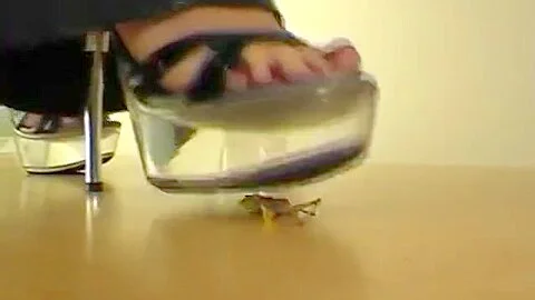 Bug crush in clear platforms