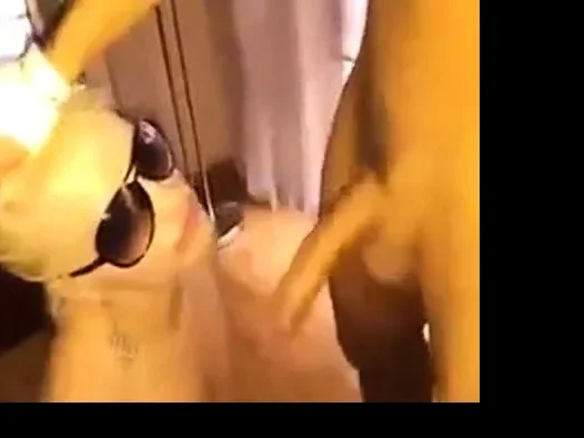 Bulgarian girl with sunglasses make blowjob