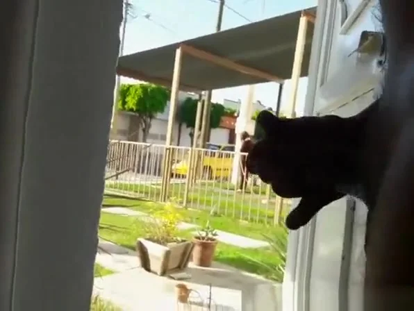 Guy strokes his penis behind door