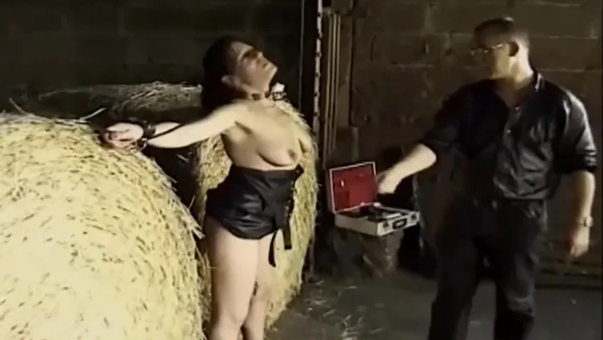Punishment At The Barn Germany