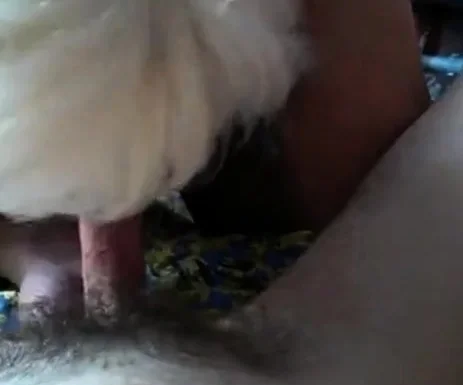 Granny blowjob