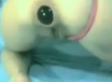 anal gape gaping asshole anal webcam