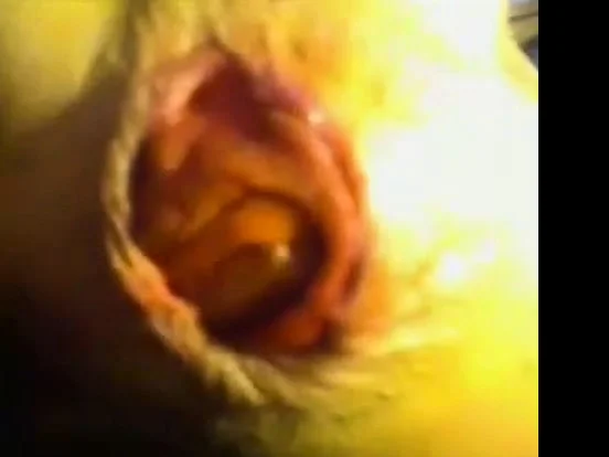 Push ass out on cam XHAMSTER EXCLUSIVE
