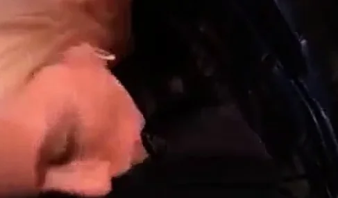 Public cock sucking at a concert