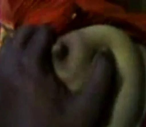 Bangladeshi Mallu Sex