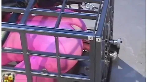 pt2 bitgagged plugged madison drooling in her cage