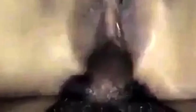 Bangladesh mimi marma hot xxx magi
