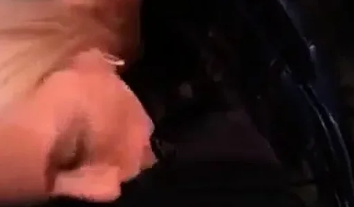 Public cock sucking at a concert