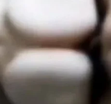 Levrette