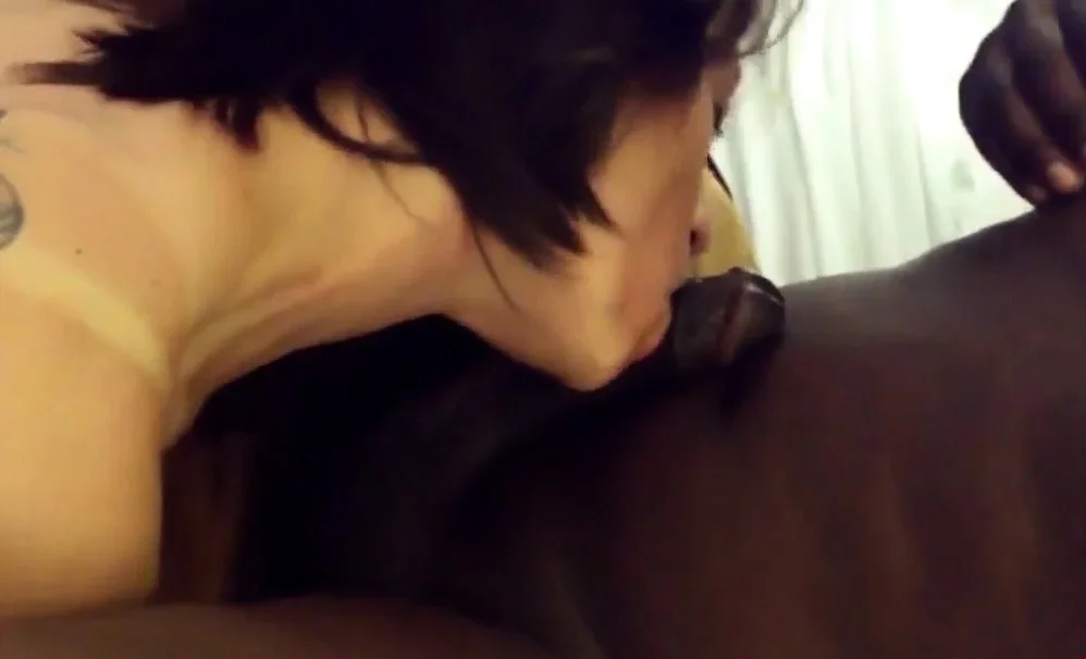 Tatooed brunette sensual BBC blowjob