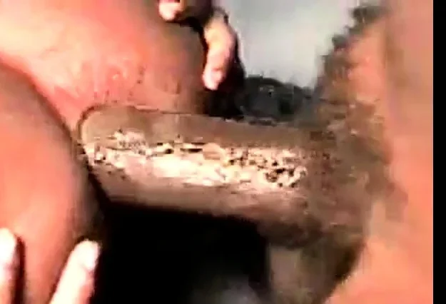 Ebony Homemade Anal