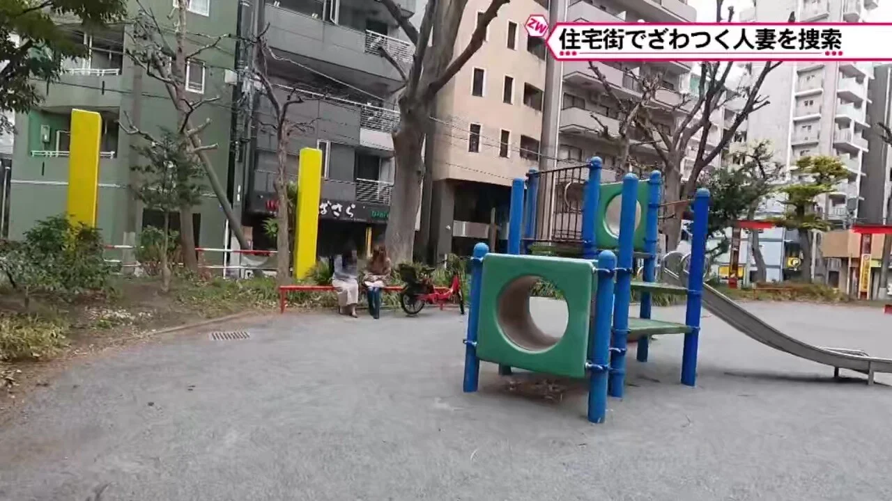 0009153_NTR ずらし挿入 座位などが含まれている