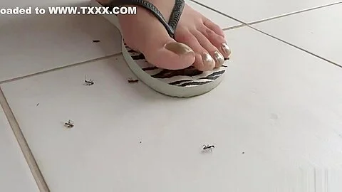 Goddess Grazi Flip-Flop Ant Crush