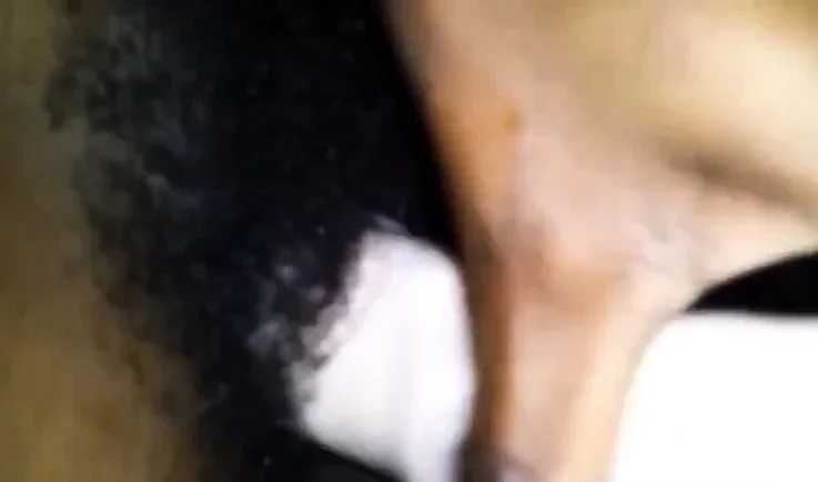 NEGRA PELUDA COM O VIBRADOR