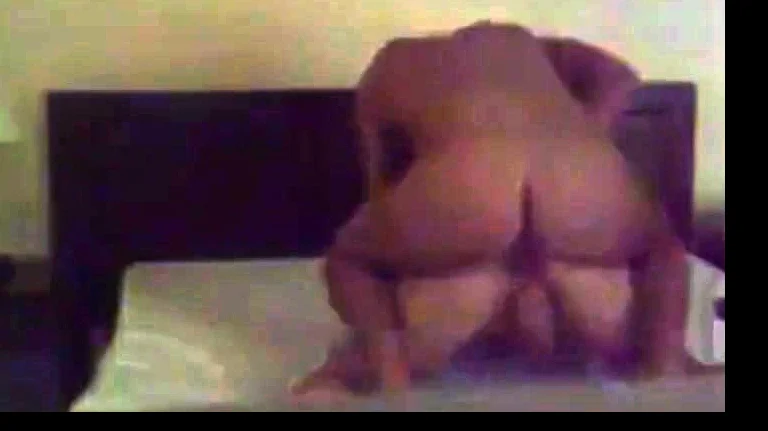 ex fidanzata adora il sesso anale
