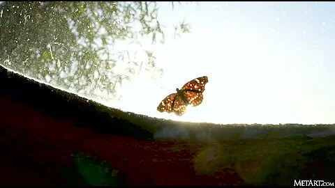 Butterfly`s Dream - Putri Cinta - Met-Art