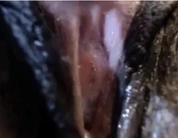 Ms SJ playing with her wet pussy
