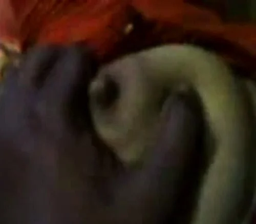 Bangladeshi Mallu Sex