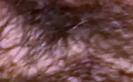 Amateur hairy pussy fucked hardcore in homemade hammering