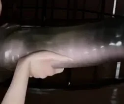 Camera testing in 3D quick fuck