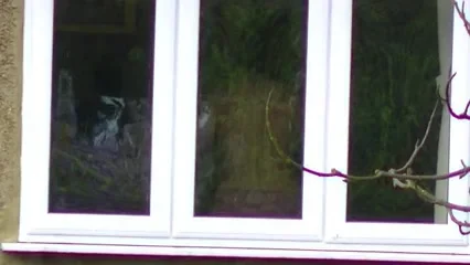 neighbour