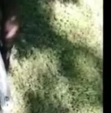 fucking with the bicycle
