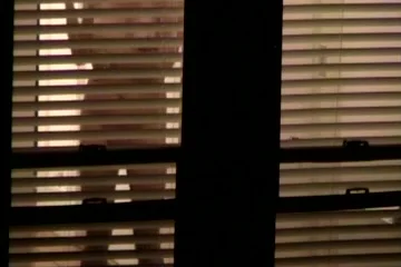 neighbor 3