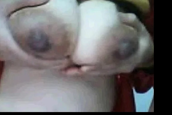 Chinese Lili got big tits