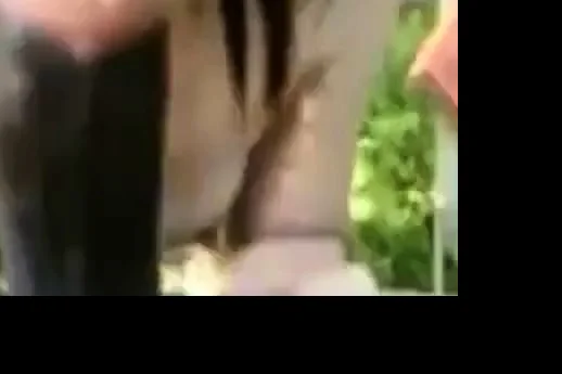 Black Guy Fucks Horny Asian Freak