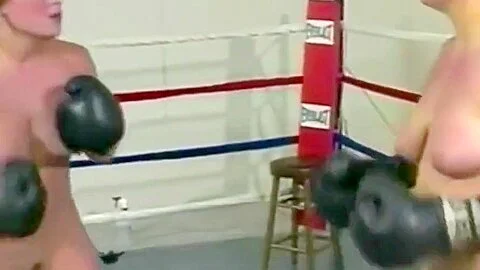 cat fights - do not beat in the face