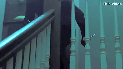 The Collector (2009) Madeline Zima