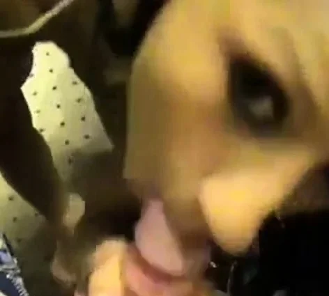 Nikita Denice sweet fucking in the dressing room
